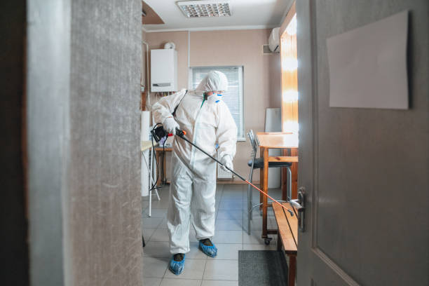 Best Mold Remediation for Rental Properties  in Kapaa, HI
