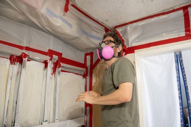 Best Mold Odor Removal Services  in Kapaa, HI