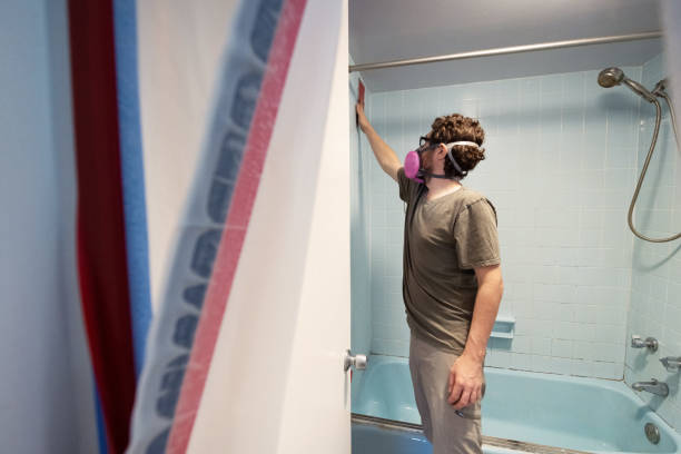 Best Mold Prevention Services  in Kapaa, HI