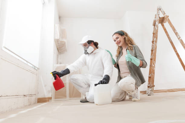 Best Asbestos and Lead Testing During Mold Inspection  in Kapaa, HI
