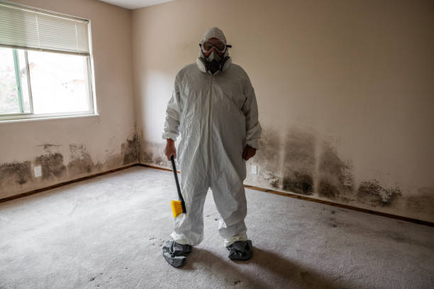 Mold Remediation for Rental Properties in Kapaa, HI